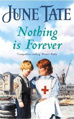 Book cover for Nothing Is Forever