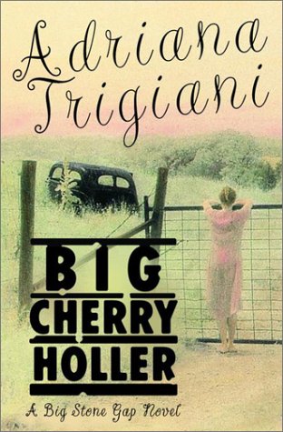 Book cover for Big Cherry Holler: a Big Stone Gap