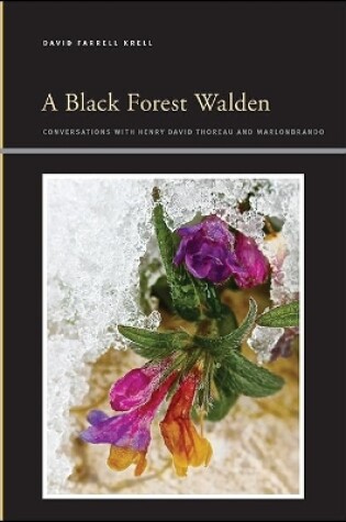 Cover of A Black Forest Walden