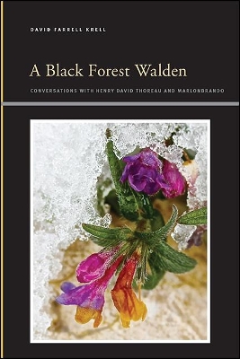 Book cover for A Black Forest Walden