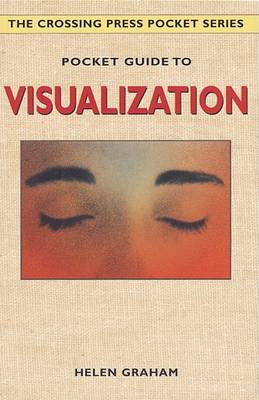 Book cover for Pocket Guide to Visualization