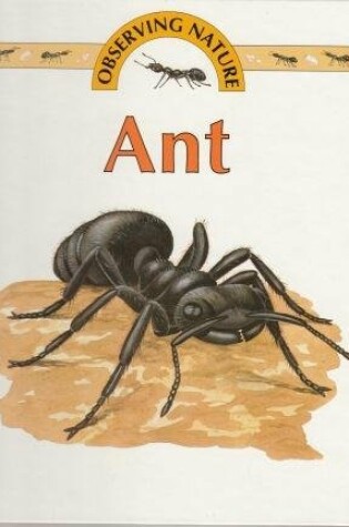 Cover of Ant