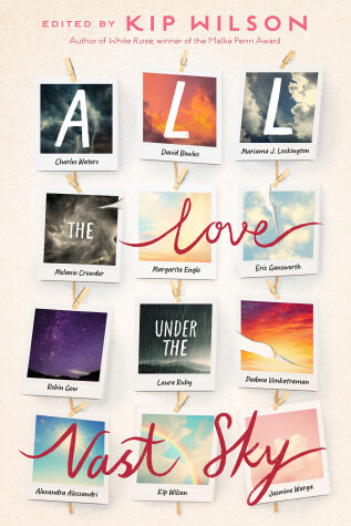 Book cover for All the Love Under the Vast Sky