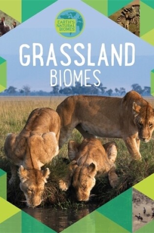 Cover of Earth's Natural Biomes: Grassland