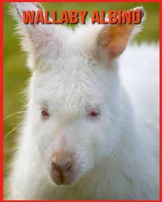 Book cover for Wallaby Albino