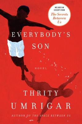 Book cover for Everybody's Son