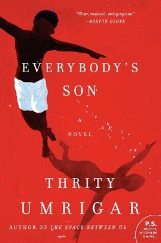Cover of Everybody's Son