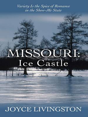 Book cover for Missouri: Ice Castle