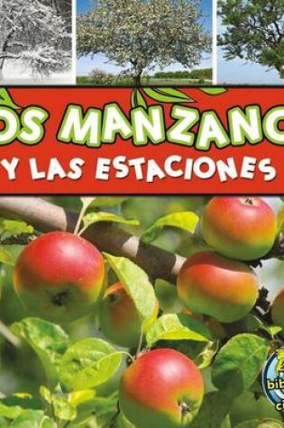 Cover of Los Manzanos y Las Estaciones (Apple Trees and the Seasons)