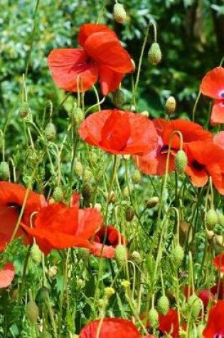 Cover of A Beautiful View of Red Poppies in the Garden Journal