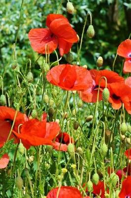 Book cover for A Beautiful View of Red Poppies in the Garden Journal