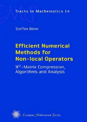 Cover of Efficient Numerical Methods for Non-Local Operators