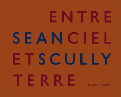 Book cover for Sean Scully: Entre Ciel Et Terre