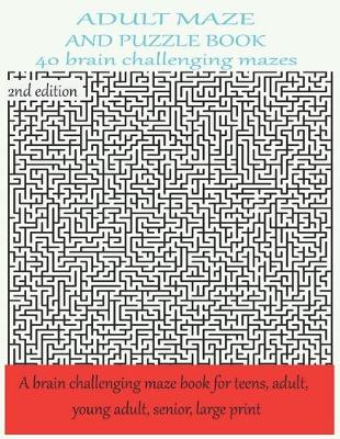 Book cover for ADULT MAZE AND PUZZLE BOOK 40 brain challenging mazes A brain challenging maze book for teens, adult, young adult, large print 2nd edition