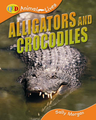 Cover of Crocodiles and Alligators