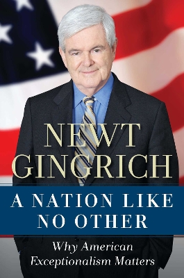 Book cover for A Nation Like No Other