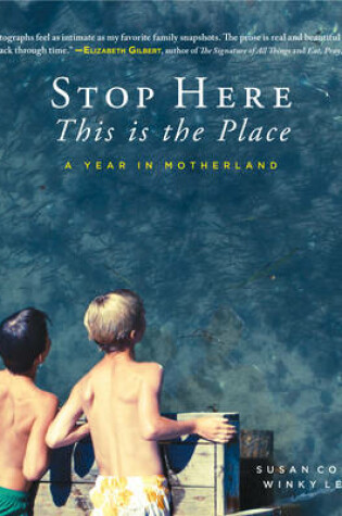 Cover of Stop Here, This is the Place