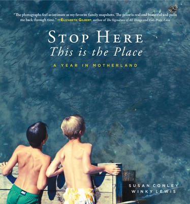 Book cover for Stop Here, This is the Place