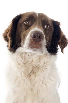 Book cover for The French Spaniel Dog Journal