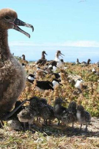 Cover of Black Footed Albatross, Birds of the World