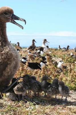 Book cover for Black Footed Albatross, Birds of the World