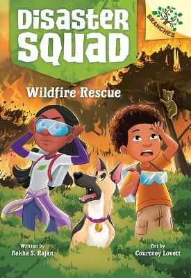 Book cover for Wildfire Rescue: A Branches Book