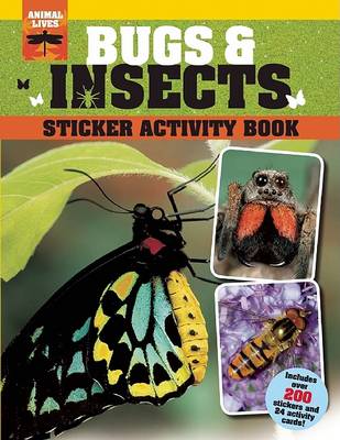 Book cover for Bugs & Insects Sticker Activity Book
