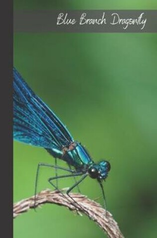 Cover of Blue Branch Dragonfly