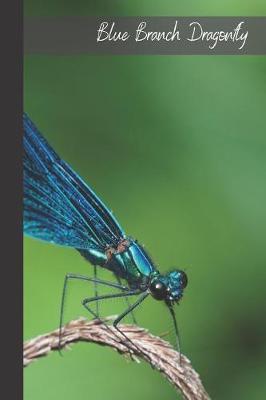 Book cover for Blue Branch Dragonfly