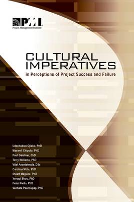Book cover for Cultural imperatives in perceptions of project success and failure