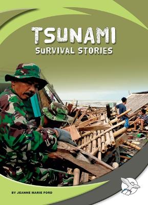 Book cover for Tsunami Survival Stories