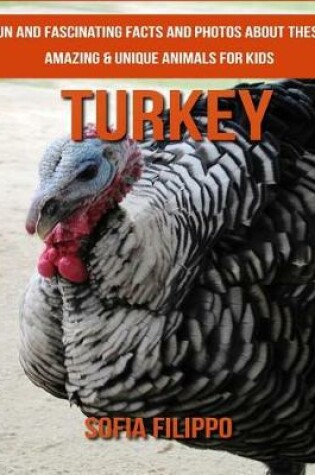 Cover of Turkey