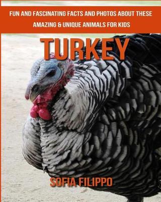 Book cover for Turkey