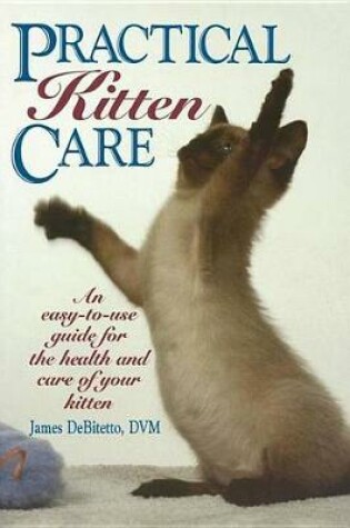 Cover of Practical Kitten Care