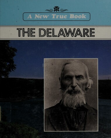 Book cover for The Delaware