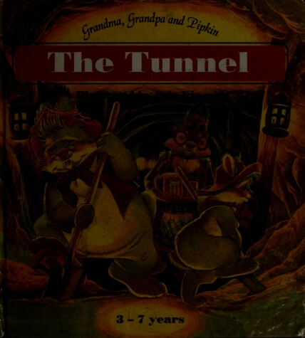 Book cover for The Tunnel