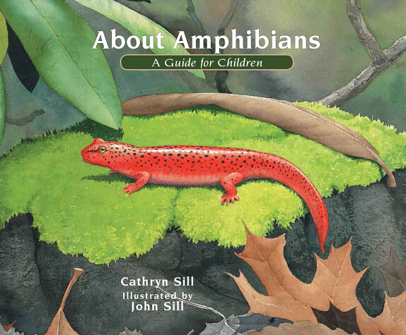 Cover of About Amphibians