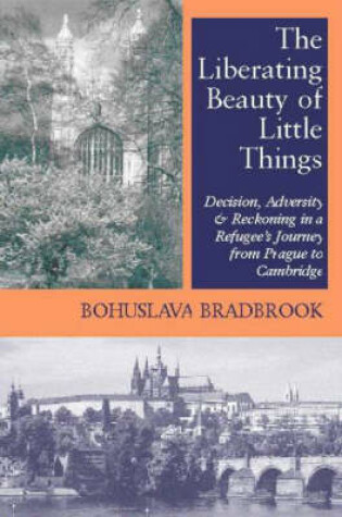 Cover of Liberating Beauty of Little Things