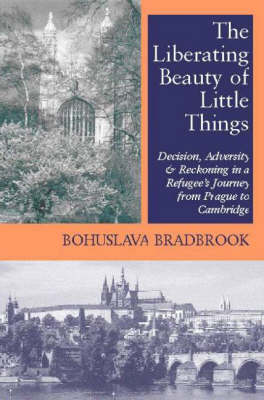 Book cover for Liberating Beauty of Little Things