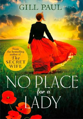 Book cover for No Place For A Lady