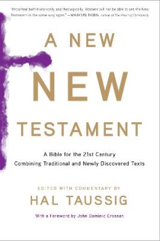 Cover of New New Testament, A