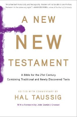 Book cover for New New Testament, A