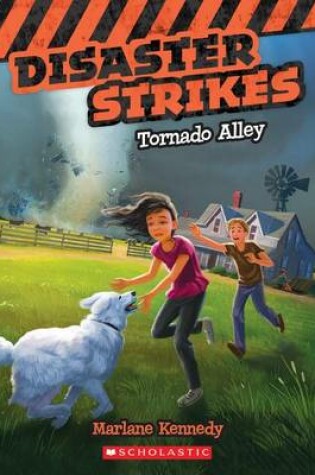 Cover of Tornado Alley