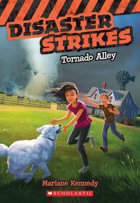 Book cover for Tornado Alley