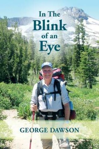 Cover of In The Blink of an Eye