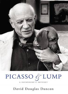 Book cover for Picasso & Lump