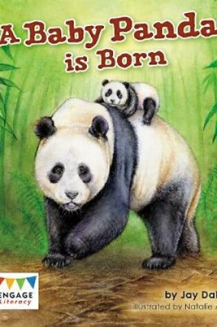 Cover of A Baby Panda is Born