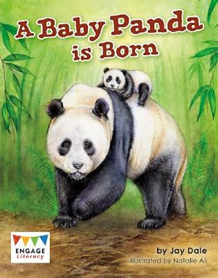 Book cover for A Baby Panda is Born