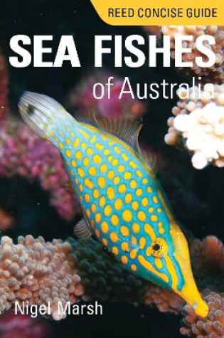 Cover of Reed Concise Guide Sea Fishes of Australia