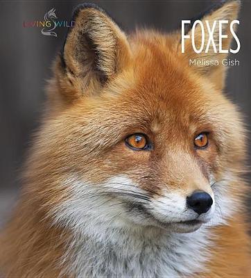 Book cover for Foxes